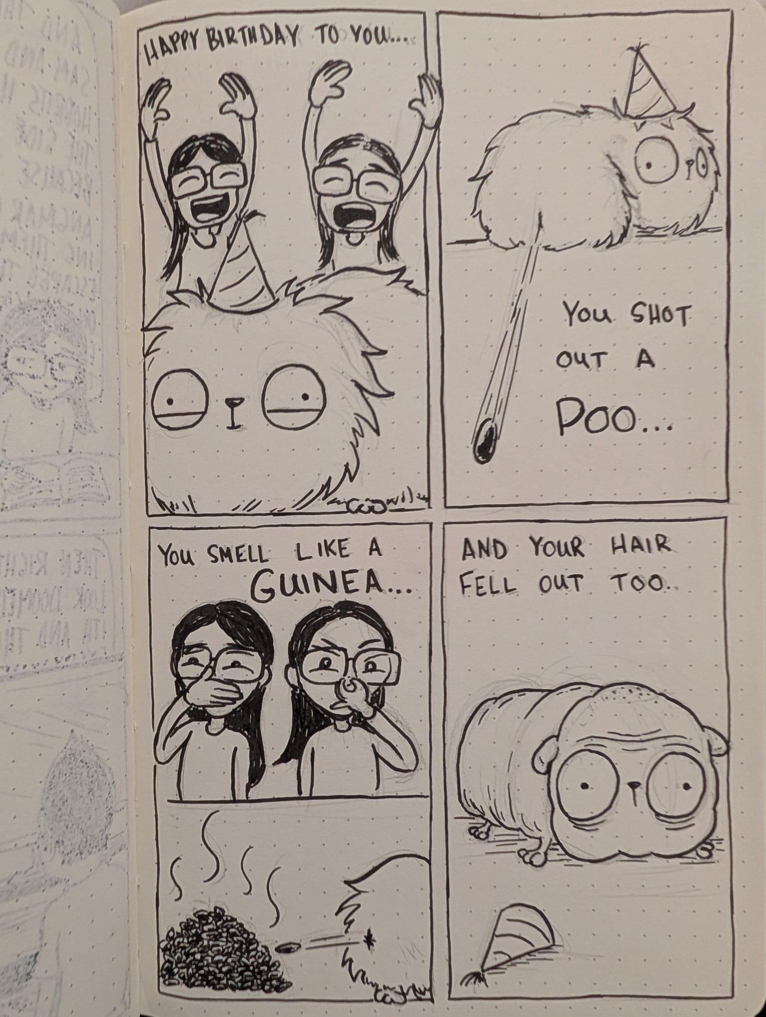 Happy birthday guineas